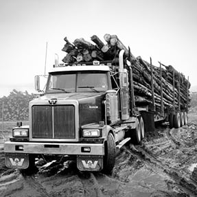 Heavy haul truck pulling a laod of logs